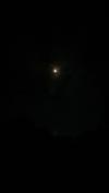ESTRELLA profile image