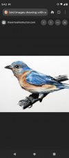 JADE2926 profile image